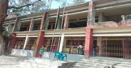 image-here